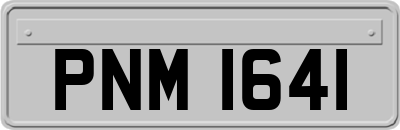PNM1641