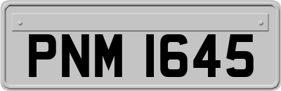 PNM1645