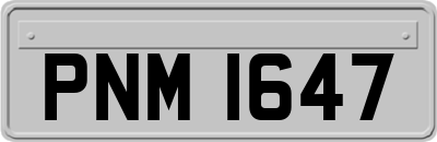 PNM1647