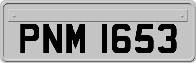 PNM1653