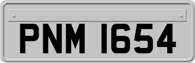 PNM1654