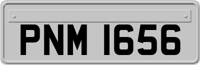 PNM1656