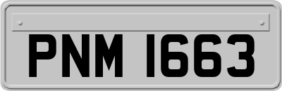 PNM1663