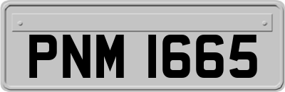 PNM1665