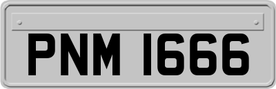 PNM1666