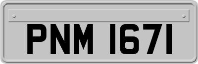 PNM1671