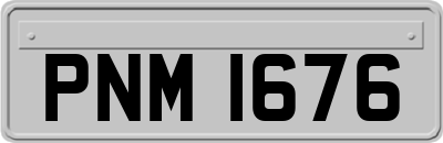 PNM1676