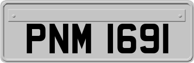 PNM1691