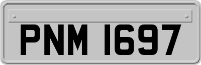 PNM1697