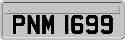 PNM1699