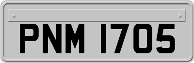 PNM1705