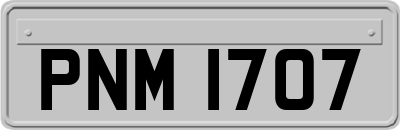 PNM1707