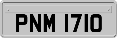 PNM1710