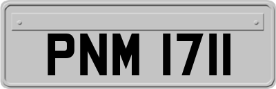 PNM1711