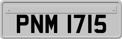 PNM1715
