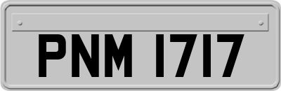 PNM1717