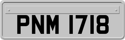 PNM1718
