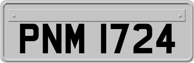 PNM1724