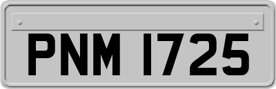 PNM1725
