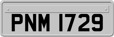 PNM1729