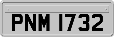 PNM1732