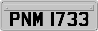 PNM1733