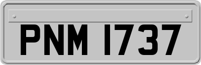 PNM1737