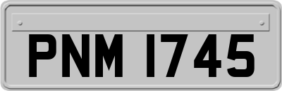PNM1745