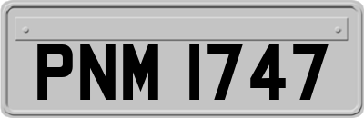 PNM1747
