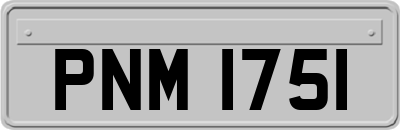 PNM1751