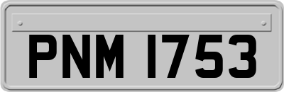PNM1753