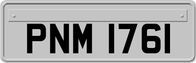 PNM1761