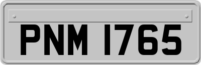 PNM1765