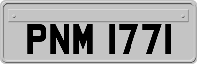 PNM1771