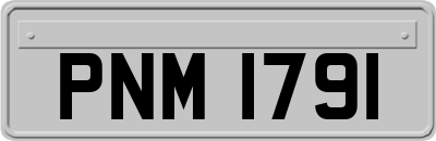 PNM1791