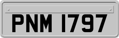 PNM1797