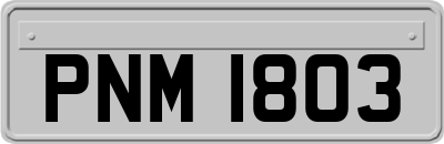 PNM1803