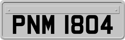 PNM1804