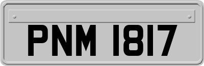 PNM1817