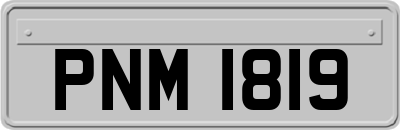 PNM1819