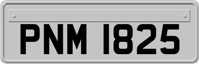 PNM1825