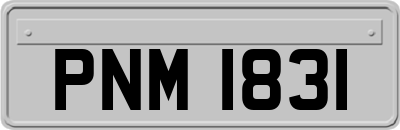 PNM1831