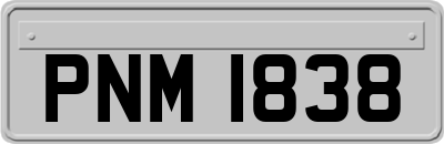 PNM1838