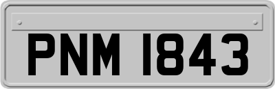 PNM1843