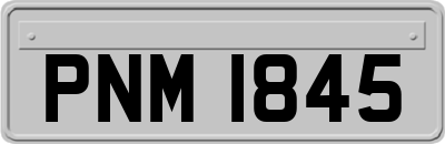 PNM1845