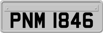 PNM1846