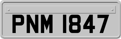 PNM1847
