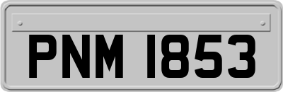 PNM1853