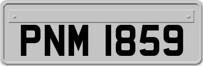 PNM1859