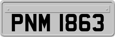 PNM1863